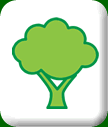 Tree City USA